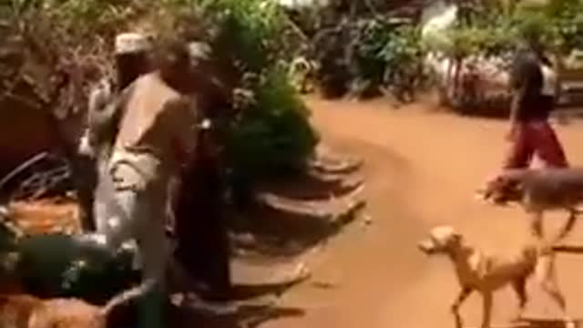 LOVELY DOGS HELPING IT OWNER TO FIGHT