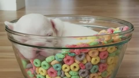 Sleepy mood