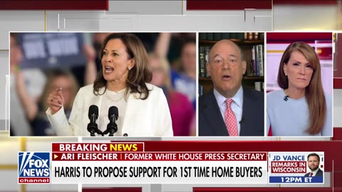 Kamala's new economic idea mocked: 'This has never worked!'
