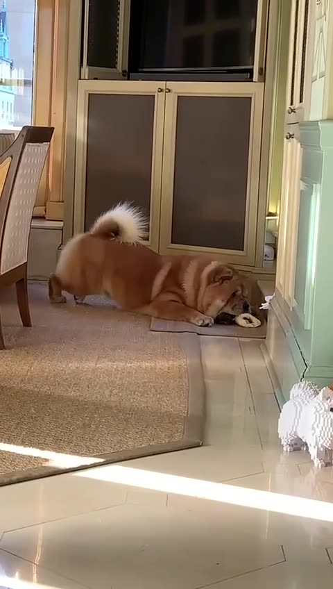 EEpKhg2ksPuPDrYqkCkPBX