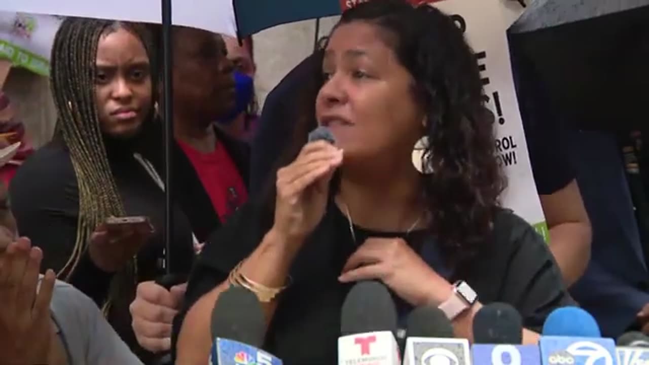 Coalition files injunction over city’s ‘outrageous’ terms in DNC park rally permits