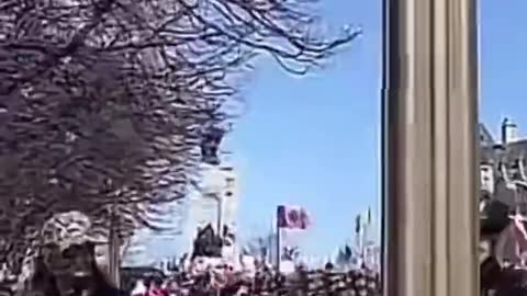 They’re afraid it’s a takeover