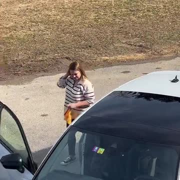 funny|prank|jokes|funny jokes|dad jokes|funny memes|funny video|fun|laughing|funny animal|knock