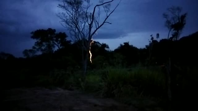 Elephants attack in the village