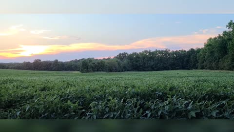 A Friday Summer Sunset