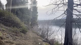 Sunny Scenic Shoreline – Suttle Lake – Central Oregon – 4K