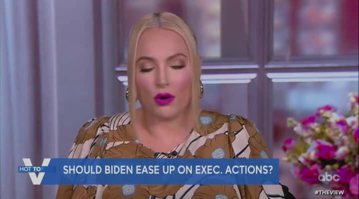 Meghan McCain Rips John Kerry