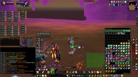 Turtle Wow - MM weekly AQ40 - 1 October - paladin POV