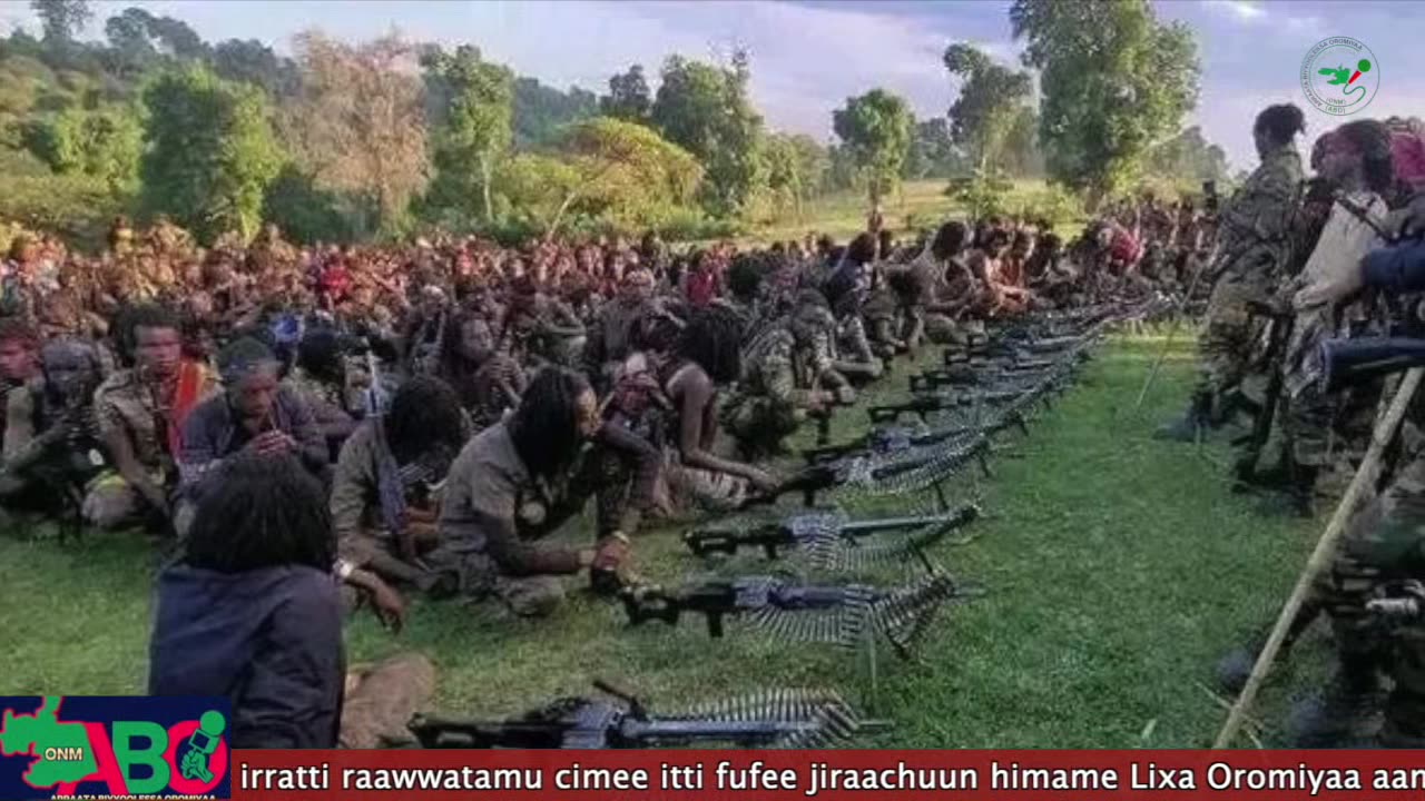 Oduu Tarkaanfii ONM-ABO Onkololessa 17-2024 itti dhiyaadhaa!