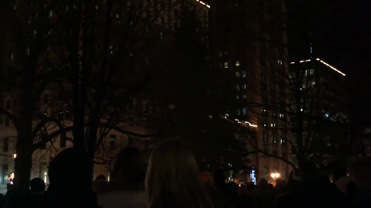 Illumination of Michigan's Official Christmas Tree