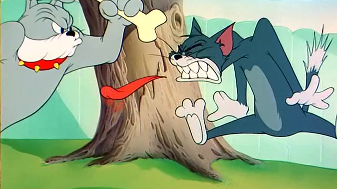 TOM N JERRY 053 The Framed Cat [1950]