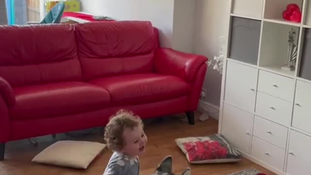 https://rumble.com/vozijh-baby-playing-with-dog.html