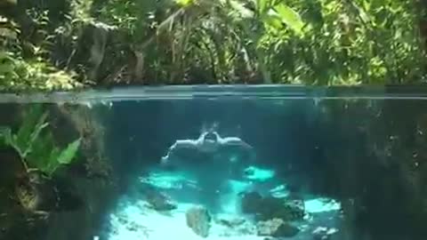 A sensação de estar nadando em um fervedouro é inesquecível, eles são nascentes de águas