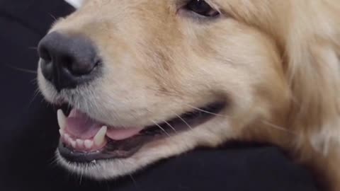 short film: You're my family