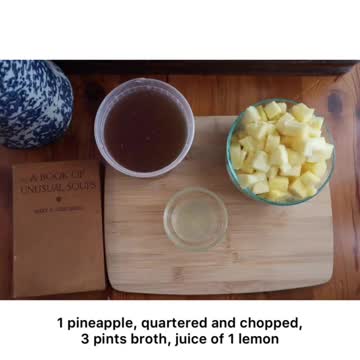 Chicken and Pineapple Soup (1922)