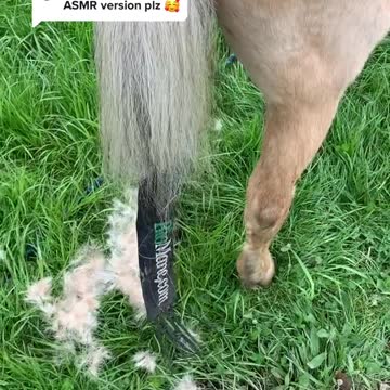 funny|prank|jokes|funny jokes|dad jokes|funny memes|funny video|fun|laughing|funny animal|knock