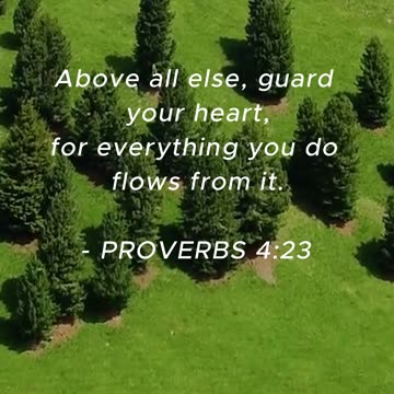 Bible Verse of the Day: August 30, 2024