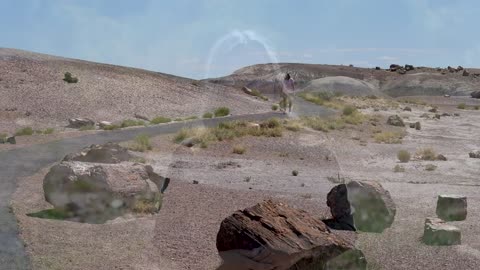 Digging for fossils at Petrified Forest National Park