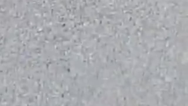 5G - Dead Bees Around the Antenna Disguised As Palm Tree Cali
