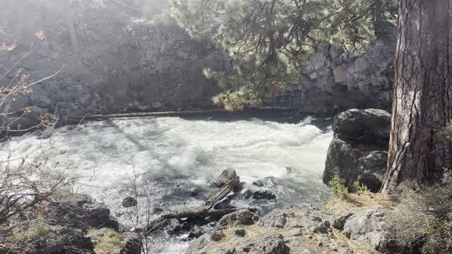 The Incredible Dillon Falls Canyon – Deschutes River – Central Oregon – 4K