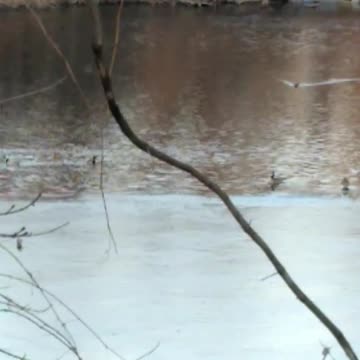 Current View 5:30pm EST Feb 15, 2022