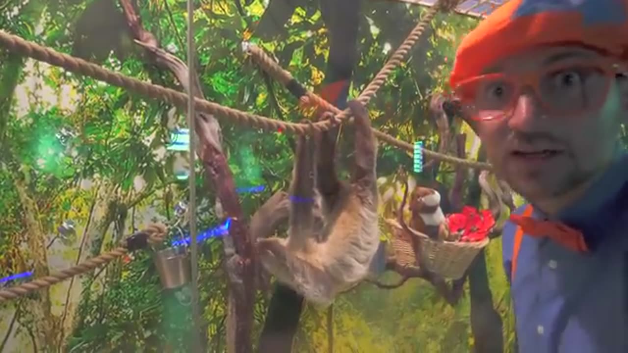 Blippi Visits The Aquarium _ Educational Fish and Animals for Kids and Toddlers.mp4