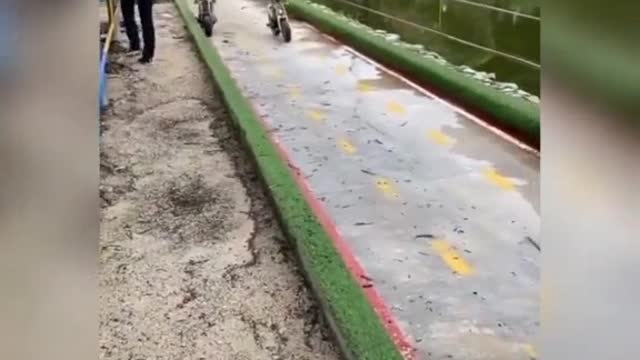 Funny situations for monkeys