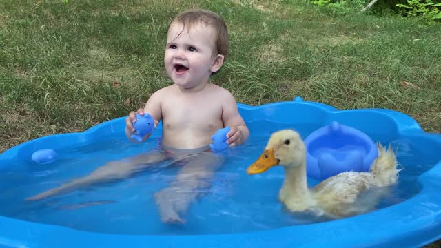 Funny Baby Reaction to Duckling in the Pool