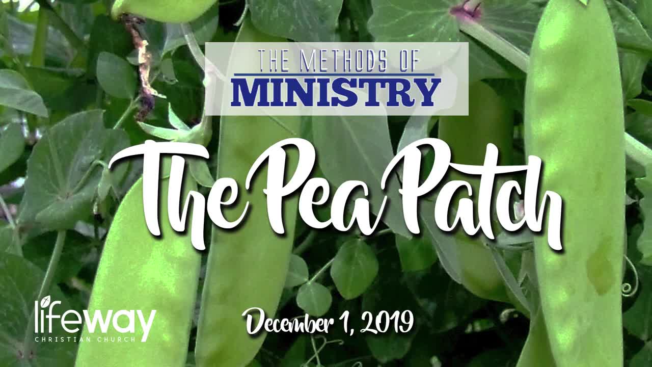 The Methods of Ministry: The Pea Patch - November 24, 2019