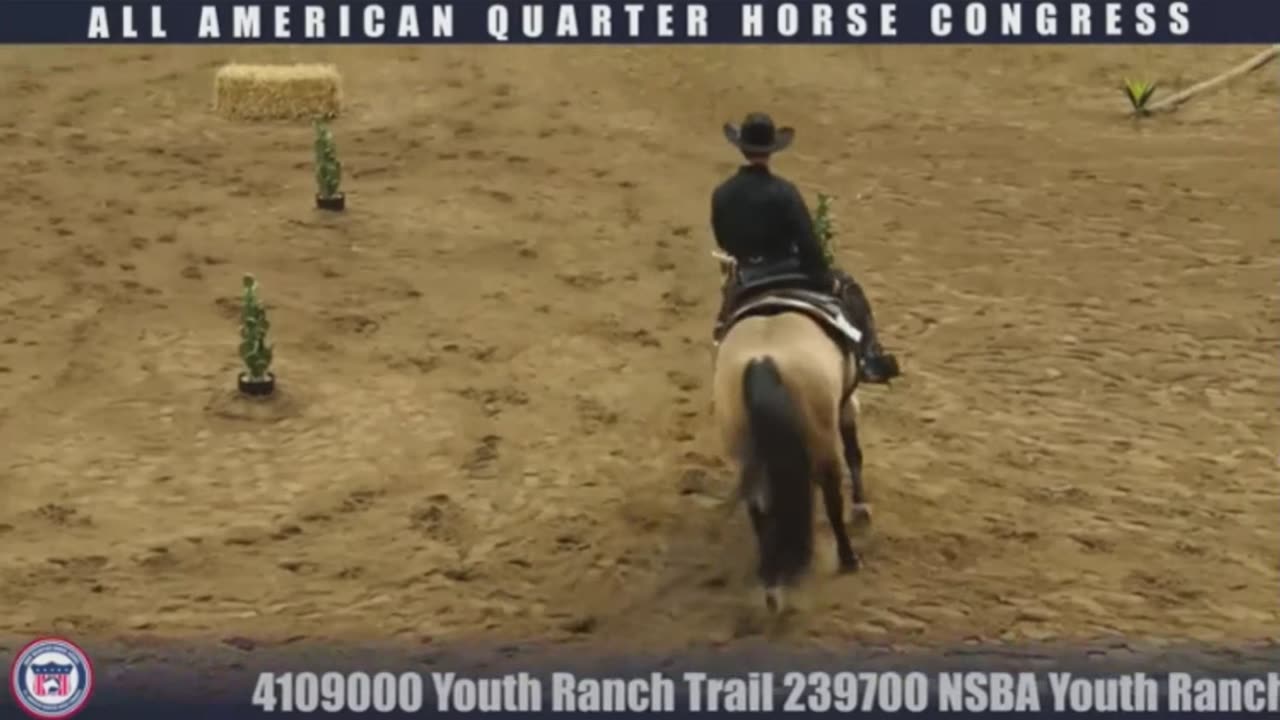 Border Alert, AZ and TX. With a video of the trail runs