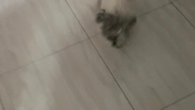 Encontro com pai