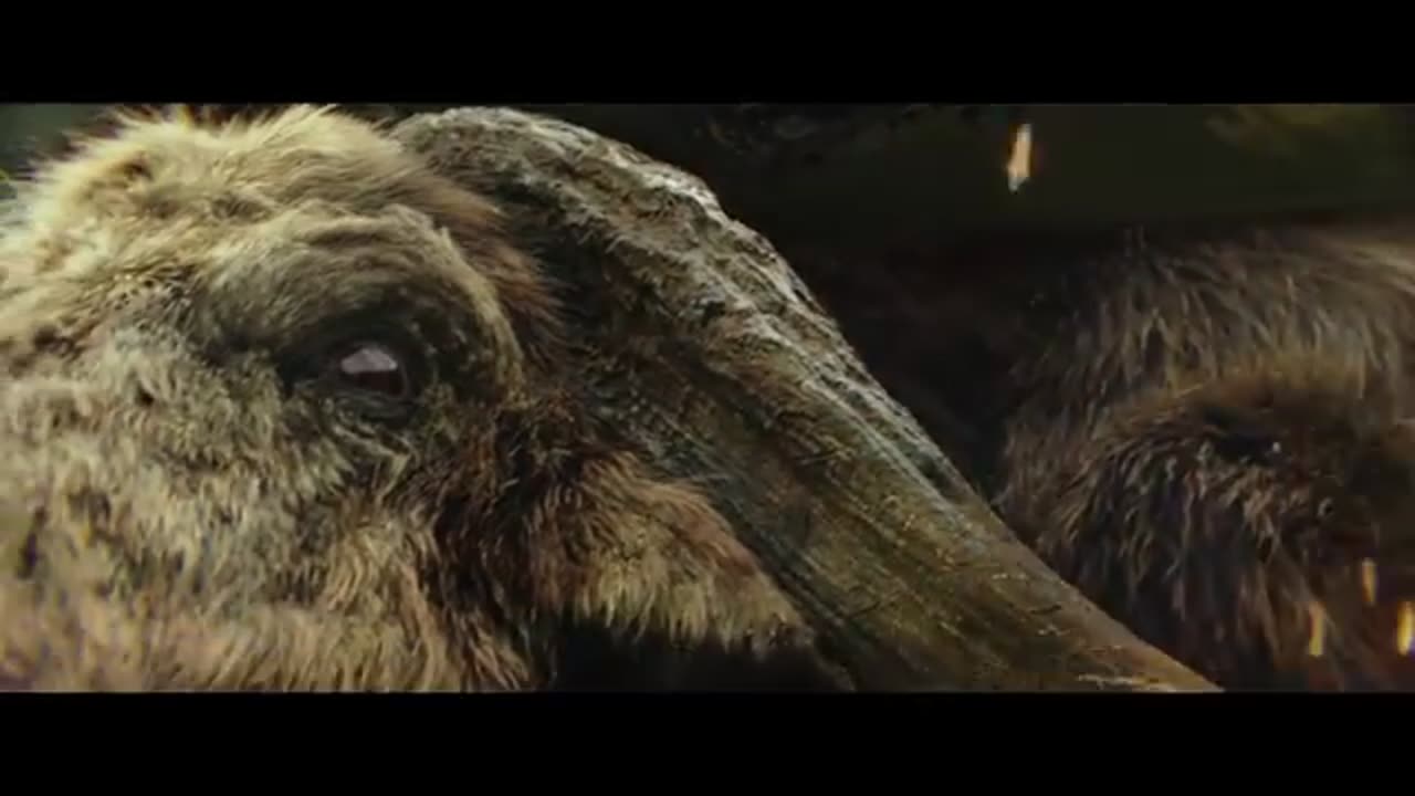 Movie clip