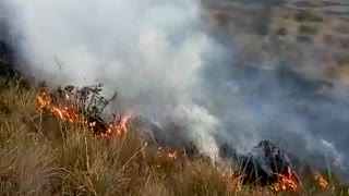 Reportan pérdida de frailejones por grave incendio en el páramo de Berlín, Santander