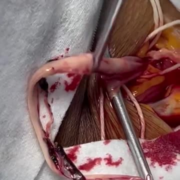 EVERY SHOT STARTS THESE GROWTH WITH YOUR BODY, EVERY VAX!