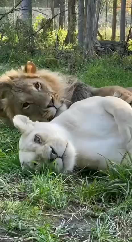 Spring is in the air baby come over here 😍😍😊