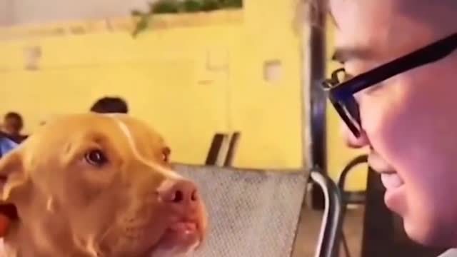 He used to be stray dog. This is the first time in three years that he has been kissed.