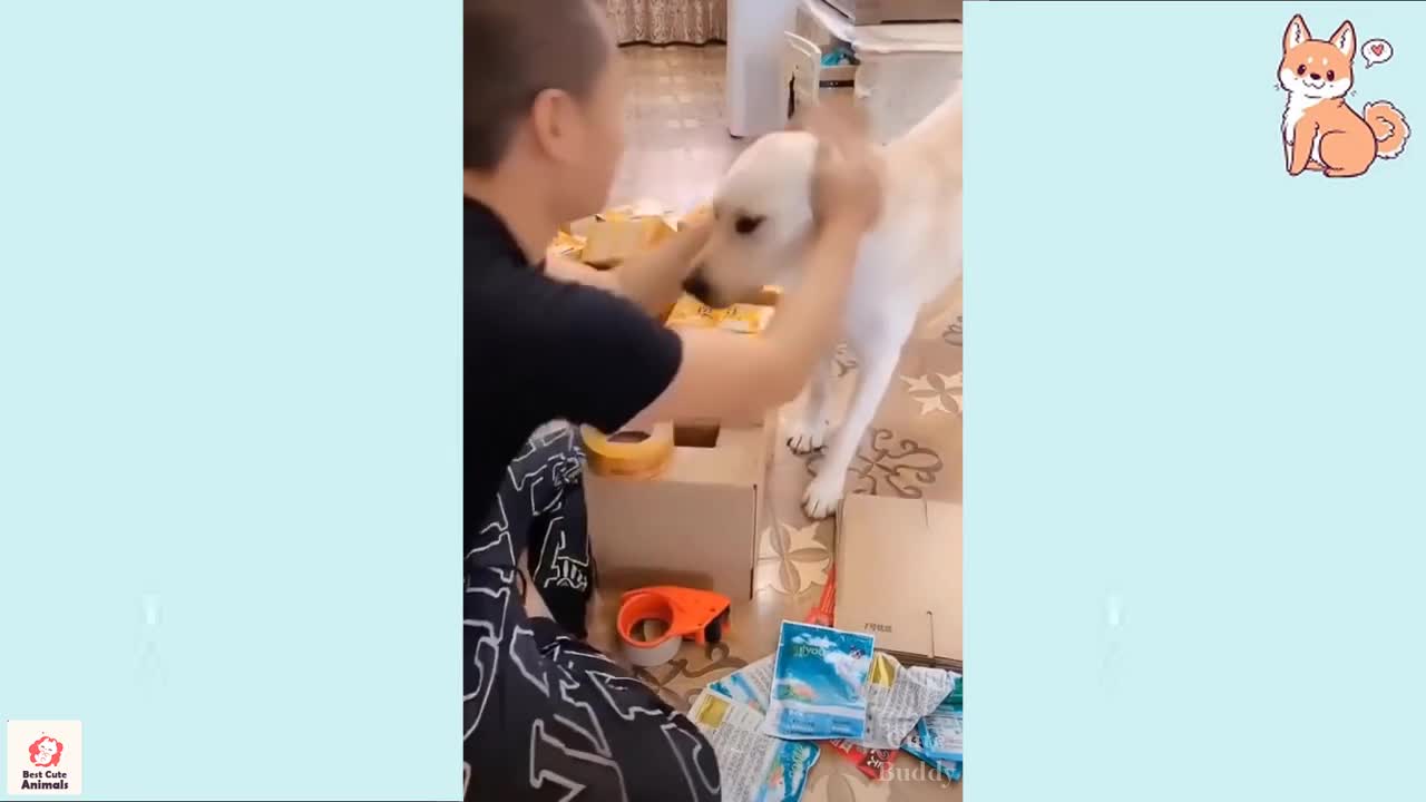Funny Small Dogs 🐶 Cute Puppies 🐾 Compilation
