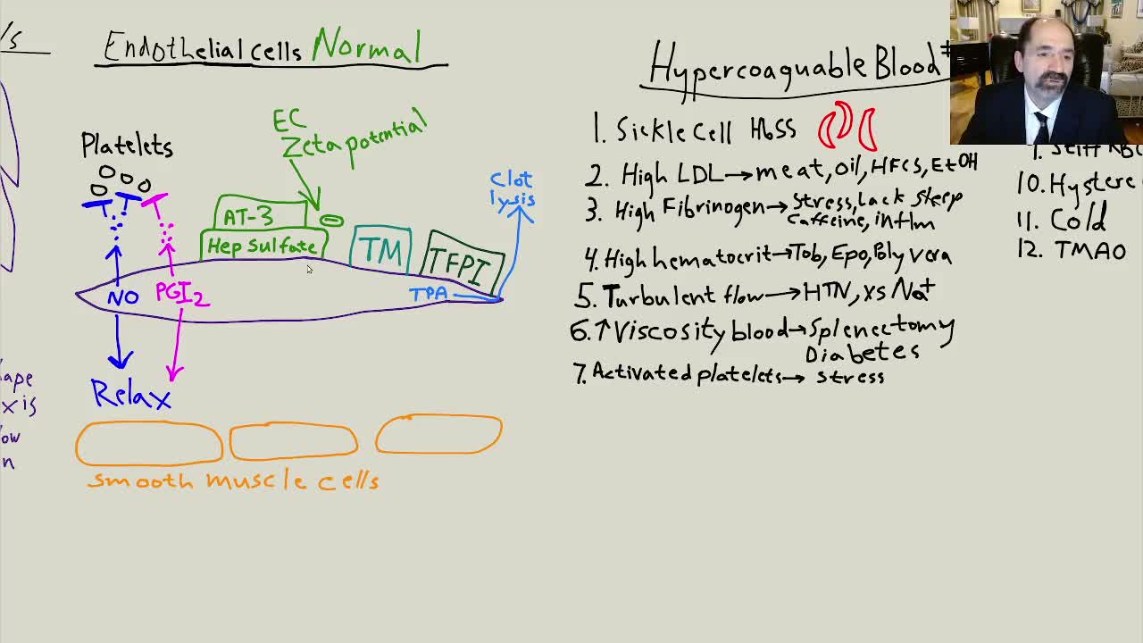 Atherosclerosis part 1