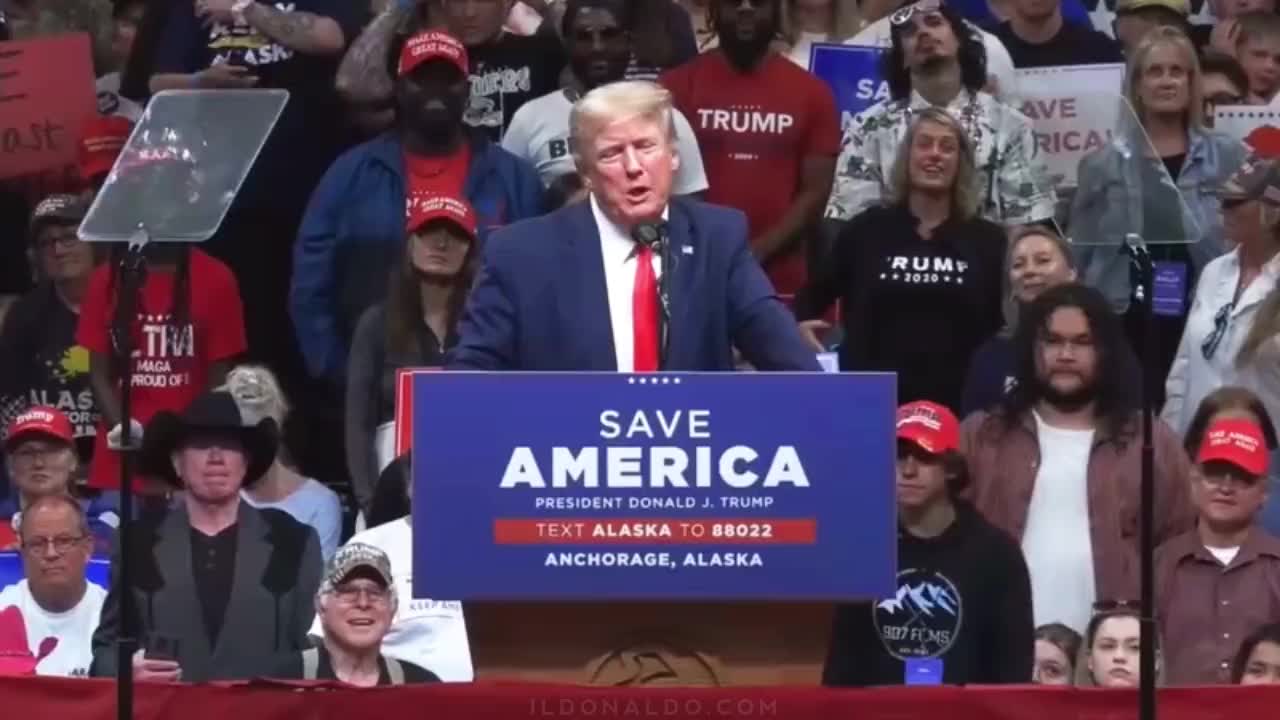 What did Trump call the Mueller Investigation? LOL