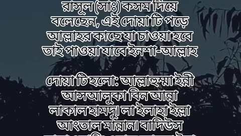 আল্লাহর কাছে চাওয়া