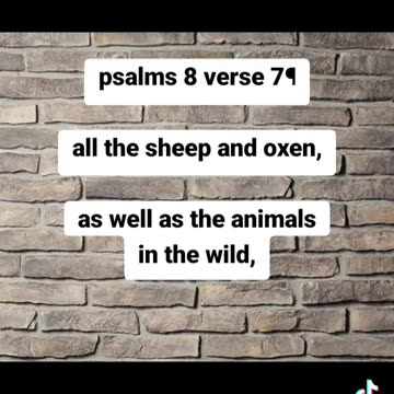 Psalms 8 verse 7