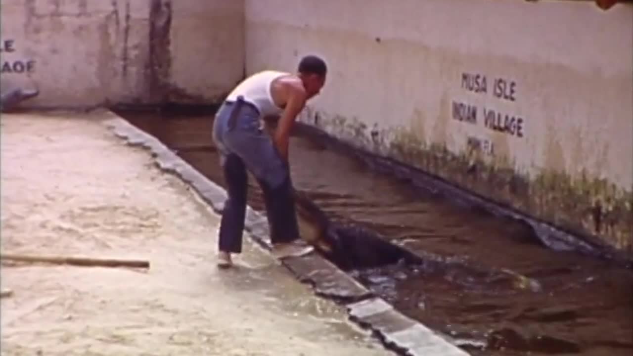 Alligator Wrestling Miami 1942