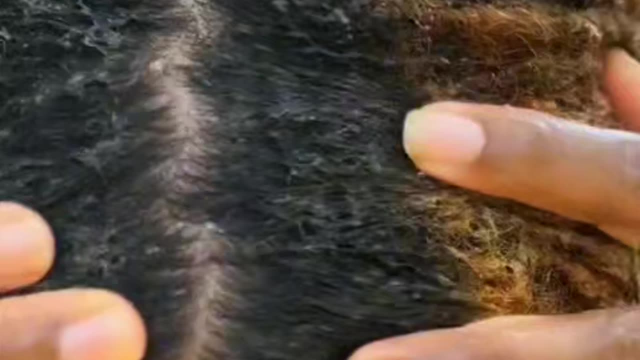 You Could Use Tuna As A Hair Conditioner?