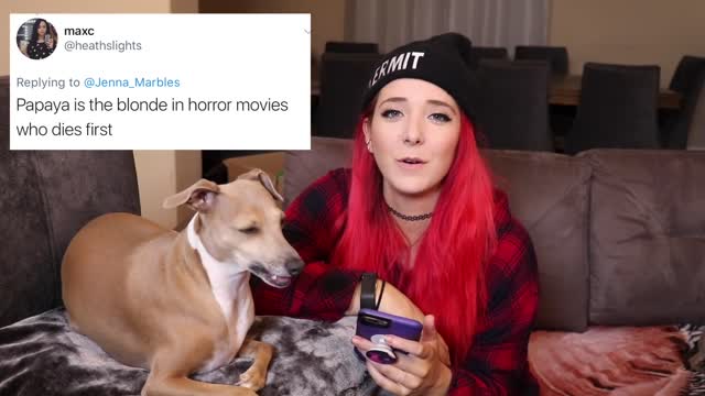 Reading Mean Comments About My Dogs