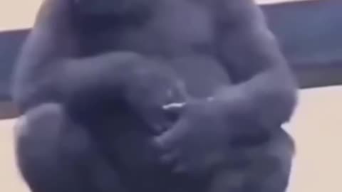 #video #beautiful #song #videoviral #bass @Beautful Content #funnyvideo @Funny Video