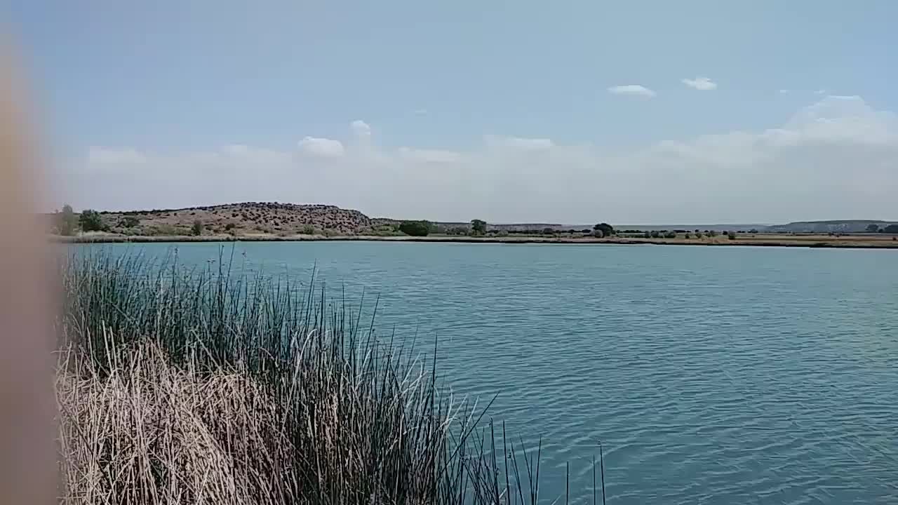 First Video Upload