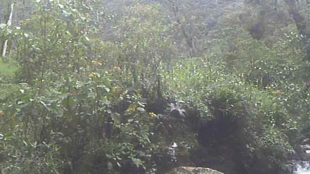 2 Small waterfalls at base of Pan de Azucar