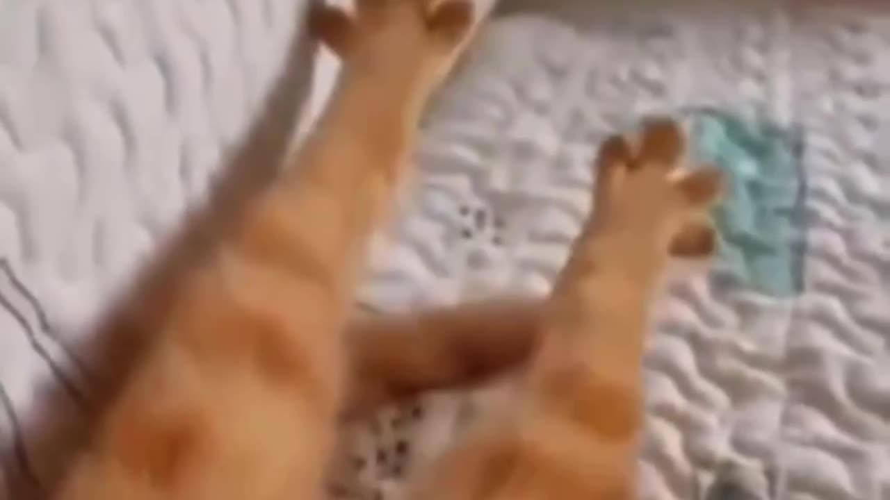 Now that’s a good morning stretch 😊