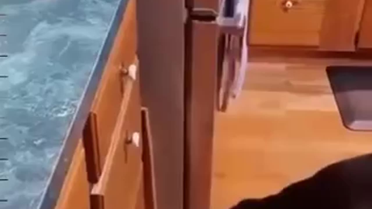TRY NOT TO LAUGH 😆 Best Funny Videos Compilation 😂😁😆