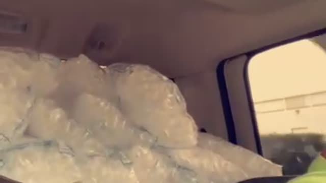 Coworker Slams on Brakes Causing Ice Bags to Fall